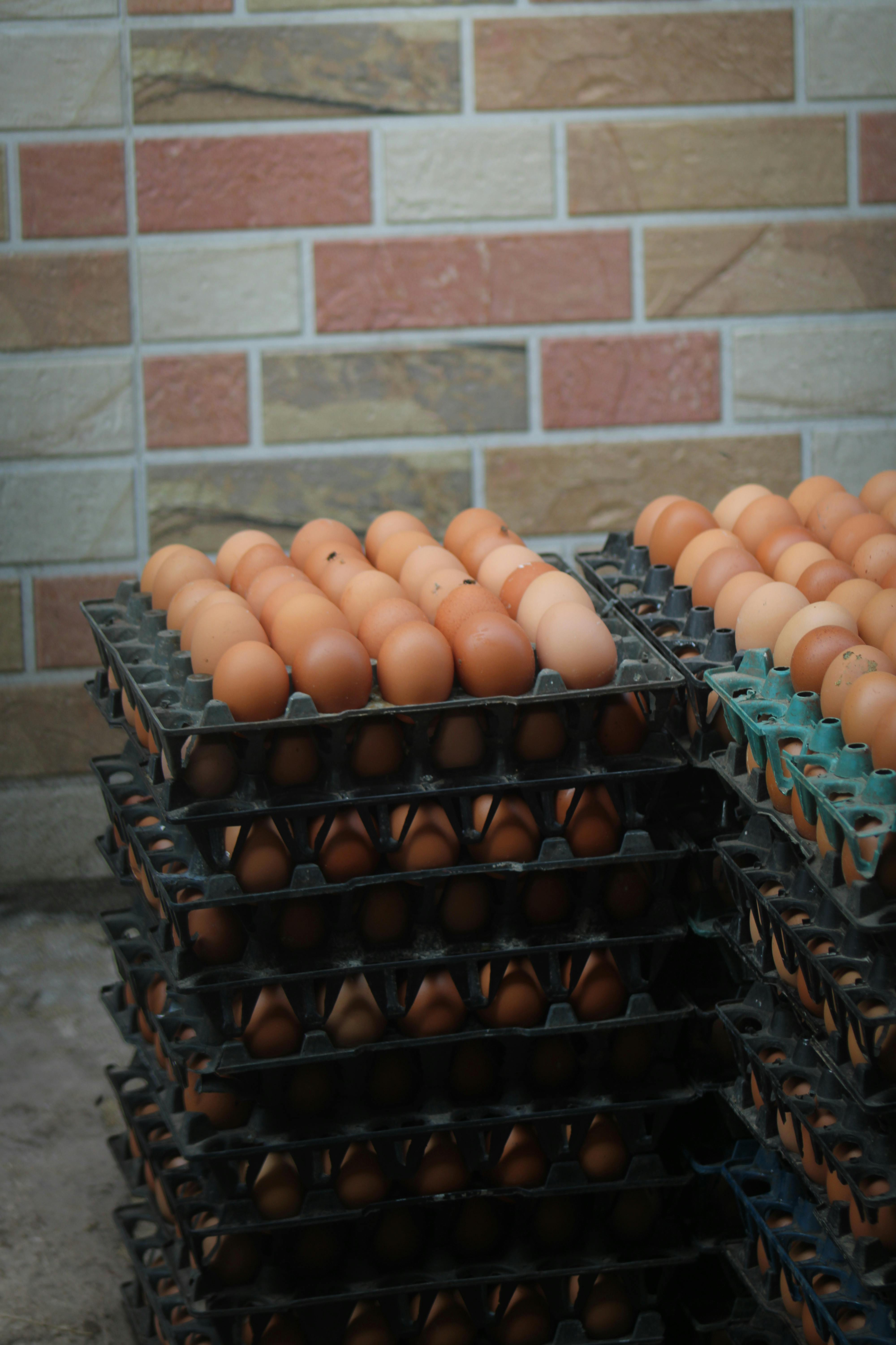 台中超群蛋業商業用箱蛋批發-餐飲業者大宗採購專用